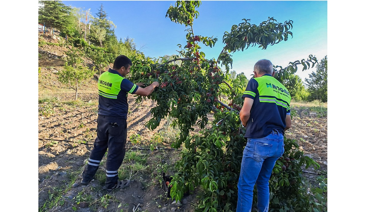 GÜRİŞ Holding son iki yılda 674 kurumsal sosyal sorumluluk projesine imza attı