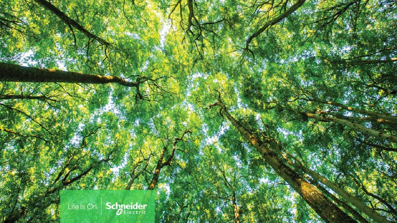 Schneider Electric ''Gartner Tedarik Zinciri ...''