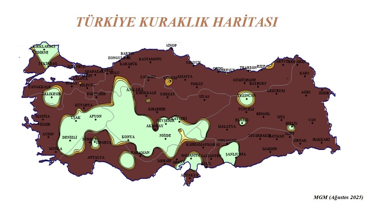 Otomatik Taslak