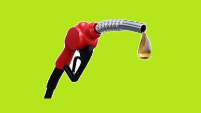 Motorine zam …
