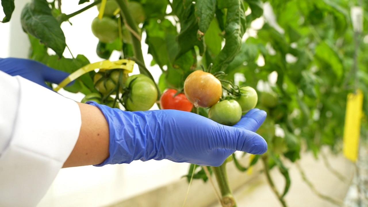 Enerji Bakanlığı 'Gıda Güvenliğine ‘TENMAK’ Dokunuşu'