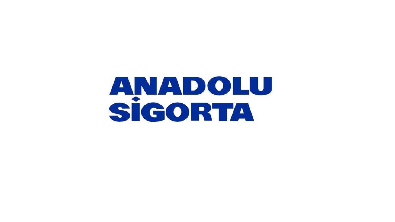 Anadolu Sigorta kampanya başlattı 'Renault, Dacia'ya özel'