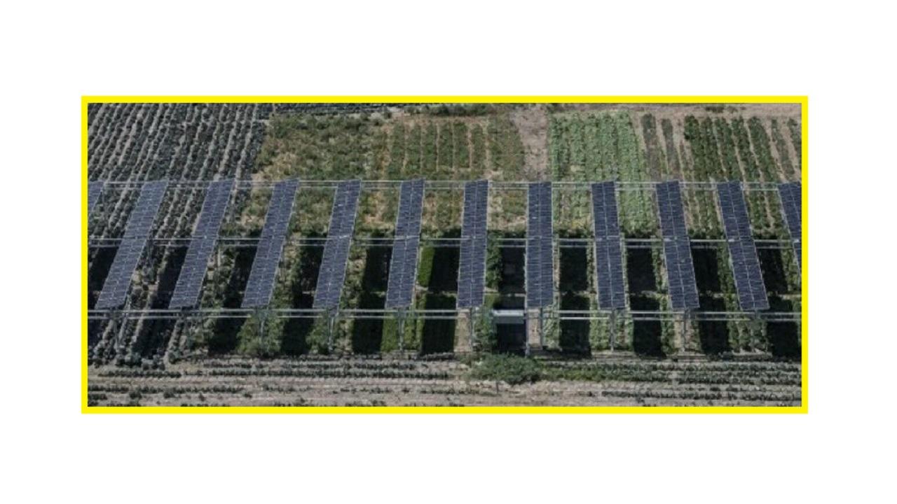 IEA PVPS Country Updates 2025 Report