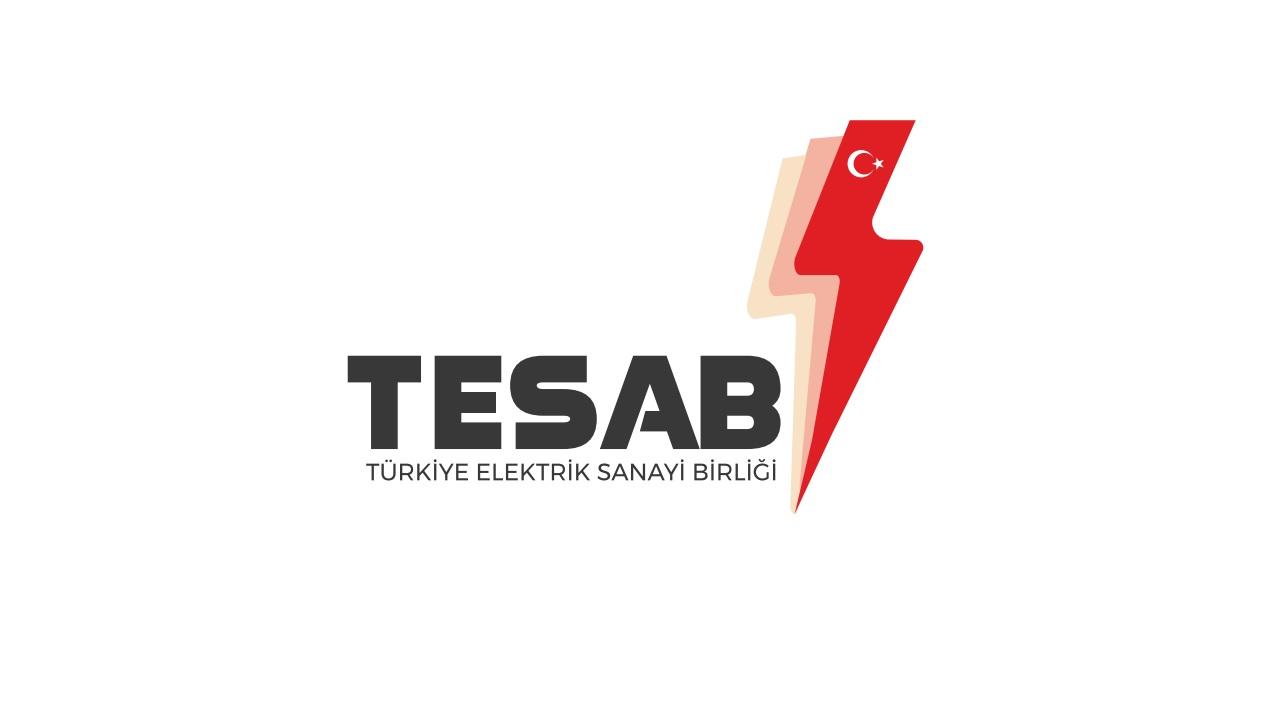 Enerji İletişimcilerine Dezenformasyon Eğitimi - TESAB