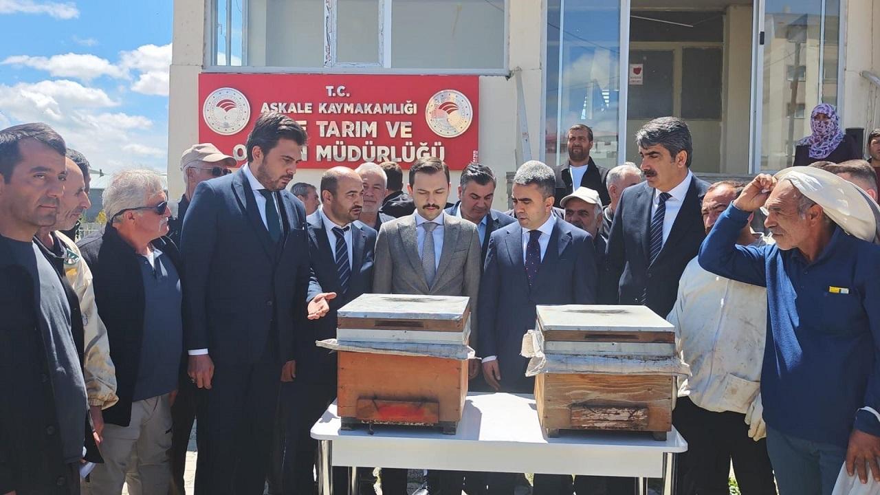 Otomatik Taslak