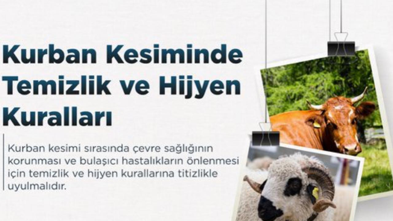 Otomatik Taslak