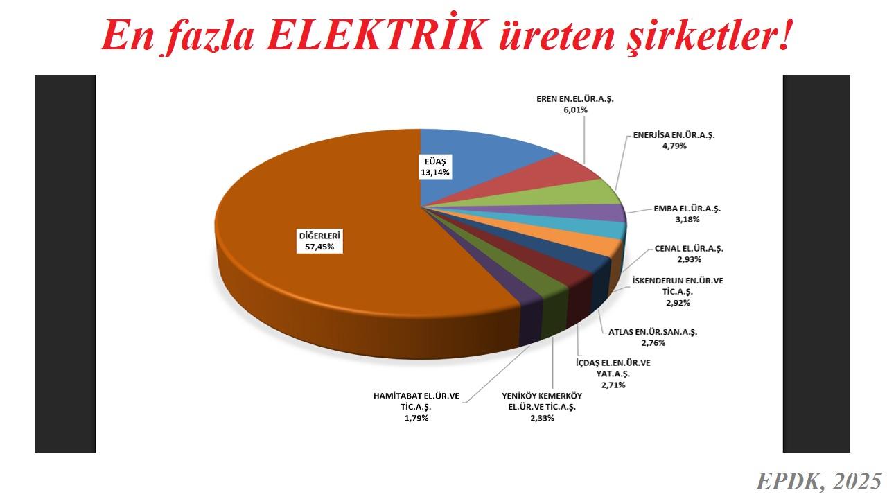 En FAZLA elektrik üreten ÖZEL şirketi biliyor musunuz? 2025!