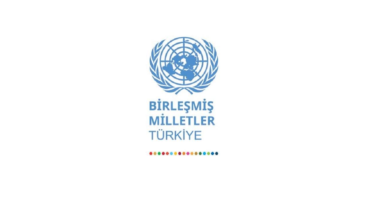 Temiz ENERJİ neden engellenemez? BM