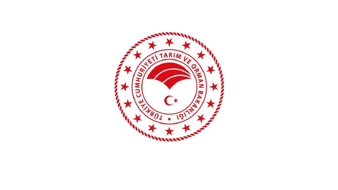 YENİ 'Orman içinde kalan ve iptal edilen tapular İADE edilecek'