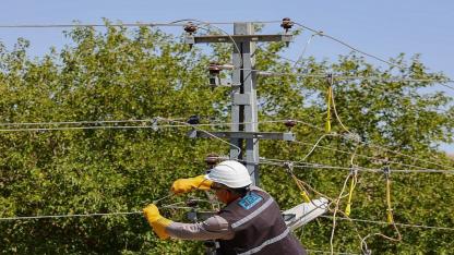 Yazın artış var 'Elektrik hatlarına YETKİSİZ müdahale RİSK'