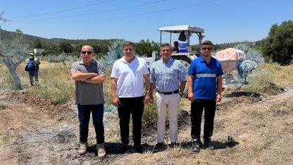 Yeniköy Kemerköy Enerji 'ZEYTİN ağaçları bilimsel yöntemlerle taşınıyor'