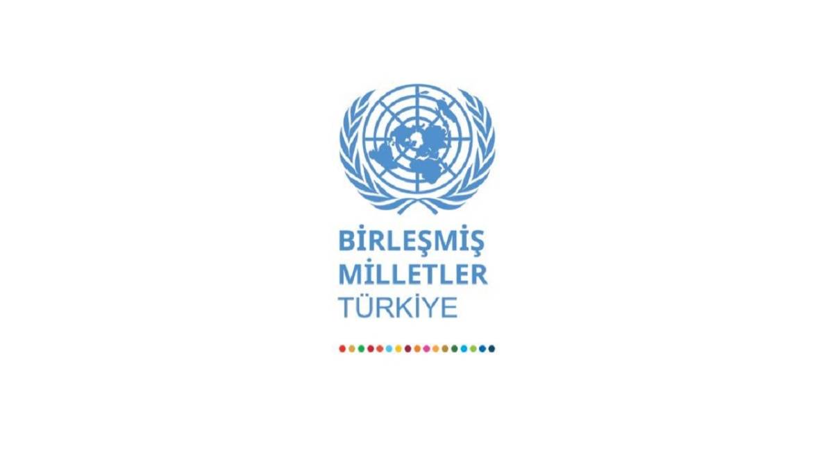 'Güneş ışığının fiyatı artmaz - Rüzgara ambargo uygulanamaz'