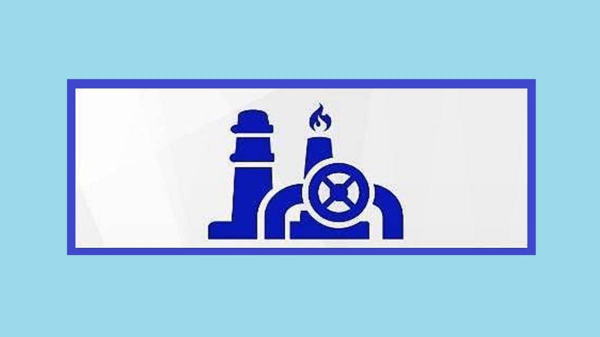 Elektrik, Petrol, Doğal gaz ve LPG raporlarını yayınladı!